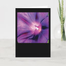 Suche nach winds karten Flora