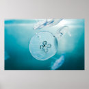 Suche nach unterwasser poster Quallen