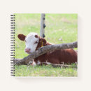 Suche nach kuh kleine notizbücher Kalb