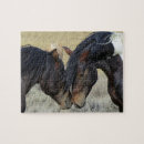 Recherche de le cheval puzzles Chevaux