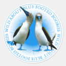 Recherche de pattes autocollants Faune