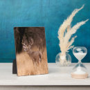 Suche nach geweihe haustier fotoplatten Wildtier