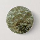 Suche nach löwenzahn buttons Natur