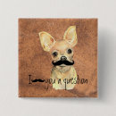 Recherche de chihuahua badges Humour