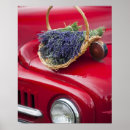 Suche nach bh poster Blau