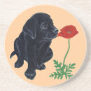 Suche nach labradorwelpe Niedlich