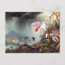 Recherche de peintures colibri cartes postales Martin johnson heade