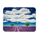 Recherche de provence magnets Violet