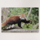 Recherche de décor à la maison puzzles Moderne