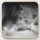 Suche nach black and white untersetzer Niedlich
