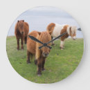 Suche nach die shetlandinseln poster Domestiziert