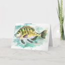 Suche nach leere der fische Natur