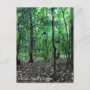 Suche nach carol postkarten Natur