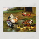 Suche nach rote ente postkarten Tiere