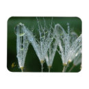 Suche nach tau magnete Wasser