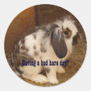 Recherche de lièvre autocollants Mignon