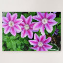 Recherche de fleurs boho puzzles Rose
