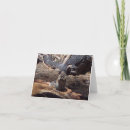 Recherche de velu vœux cartes Nature