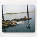 Suche nach bay mousepads Natur
