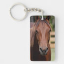Recherche de cheval photographie Anniversaire