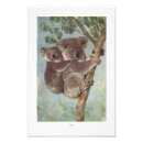 Recherche de koala bear posters Australie