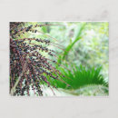 Suche nach el yunque poster Natur