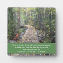 Suche nach wälder fotoplatten Pfad