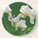 Recherche de iris dessous de verres Jardin