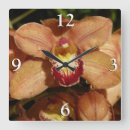 Recherche de goutte de pluie horloges Photographie