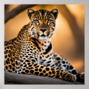 Suche nach leoparden poster Natur