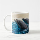 Recherche de dauphins mugs bouteilles Faune