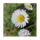 Recherche de minuscule carreaux Petit