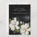 Recherche de magnolia blanche Élégant