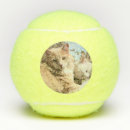 Recherche de chatte tennis balles Félin