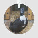 Suche nach ente ornamente Weihnachten