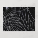 Suche nach spinnennetze postkarten Natur