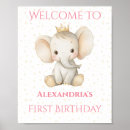 Suche nach baby elephant poster Rosa
