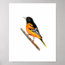 Suche nach baltimore poster Aquarell