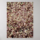 Suche nach kugel alle poster Bälle