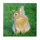 Recherche de pâques carreaux Lapin