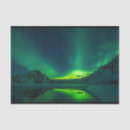 Suche nach borealis Grün