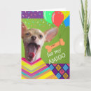 Suche nach niedlicher chihuahua karten Freundin