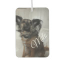 Recherche de chats voiture accessoires Amoureux des animaux