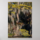 Suche nach osceola poster Sumpf
