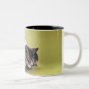Recherche de intégrale tasses Vert