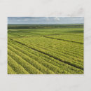 Recherche de oxfords cartes postales Aérien