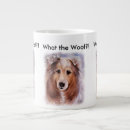 Recherche de chien de colley tasses Lassie