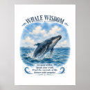 Suche nach buckelwal poster Meeresleben
