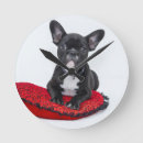 Suche nach roter hund poster Bezaubernd