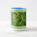 Recherche de herbes tasses Rose